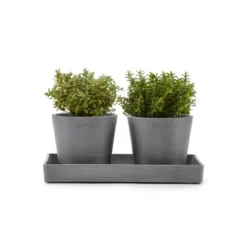Ecopots Untersetzer Eckig Grau 25 Cm X 10 Cm X 2,5 Cm -Günstiges Heissner Geschäft 00 DisplayPlatter25Grey 11