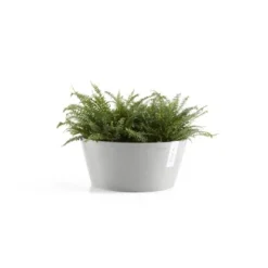 Ecopots Schale Frankfurt Weißgrau 50 Cm X 25 Cm -Günstiges Heissner Geschäft 00 Frankfurt50WhiteGrey 01