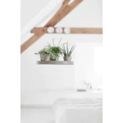 Ecopots Untersetzer Hängend Braungrau 36 Cm X 3 Cm -Günstiges Heissner Geschäft 00 HangingSaucer36Taupe 90