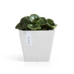 Ecopots Pflanztopf Rotterdam Weiß 20 Cm X 17,5 Cm -Günstiges Heissner Geschäft 00 Rotterdam20PureWhite 01