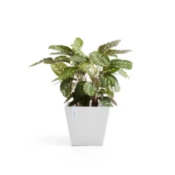 Ecopots Pflanztopf Rotterdam Weiß 30 Cm X 26 Cm -Günstiges Heissner Geschäft 00 Rotterdam30PureWhite 03