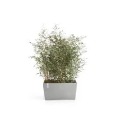 Ecopots Pflanztopf Paris Weißgrau 80 Cm X 38 Cm X 40 Cm 5 Ecopots Pflanztopf Paris Weißgrau 80 Cm X 38 Cm X 40 Cm -Günstiges Heissner Geschäft 012100 Paris80WhiteGrey 01