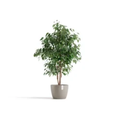 Ecopots Pflanztopf Stockholm Braungrau 31 Cm X 23,3 Cm -Günstiges Heissner Geschäft 012100 Stockholm31Taupe 01