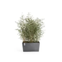 Ecopots Pflanztopf Paris Grau 60 Cm 26 Cm X 40 Cm -Günstiges Heissner Geschäft 01 11012100 Paris60Grey 01
