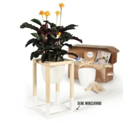 CREATE! By OBI DIY Pflanzständer Klein