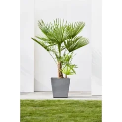 Ecopots Pflanztopf Rotterdam Rollen Grau 49,7 Cm X 50 Cm -Günstiges Heissner Geschäft 0 RotterdamWheels50Grey 90