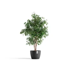 Ecopots Pflanztopf Stockholm Dunkelgrau 31 Cm X 23,3 Cm -Günstiges Heissner Geschäft 100 Stockholm31DarkGrey 01