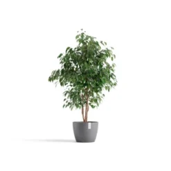 Ecopots Pflanztopf Stockholm Grau 31 Cm X 23,3 Cm -Günstiges Heissner Geschäft 1012100 Stockholm31Grey 01