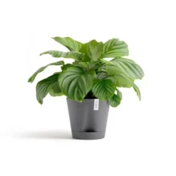 Ecopots Pflanztopf Venice 2 Grau 30 Cm X 26,3 Cm 7 Ecopots Pflanztopf Venice 2 Grau 30 Cm X 26,3 Cm -Günstiges Heissner Geschäft 11012100 Venice230Grey 01