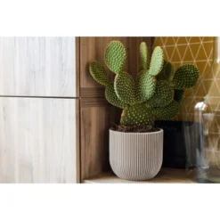 Capi Pflanztopf Groove Kugel Oval Elfenbein 17 Cm X 15 Cm 7 Capi Pflanztopf Groove Kugel Oval Elfenbein 17 Cm X 15 Cm -Günstiges Heissner Geschäft 113952 4091 03