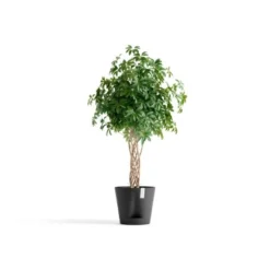 Ecopots Pflanztopf Venice 2 Dunkelgrau 40 Cm X 35 Cm -Günstiges Heissner Geschäft 12100 Venice240DarkGrey 01