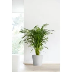 Ecopots Pflanztopf Venice Weißgrau 30 Cm X 26 Cm 7 Ecopots Pflanztopf Venice Weißgrau 30 Cm X 26 Cm -Günstiges Heissner Geschäft 12100 Venice30WhiteGrey 90