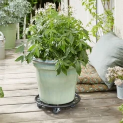 Wagner Pflanzenroller GH 0936 Ø 30 Cm Schwarz 9 Wagner Pflanzenroller GH 0936 Ø 30 Cm Schwarz -Günstiges Heissner Geschäft 1236256 2470 2