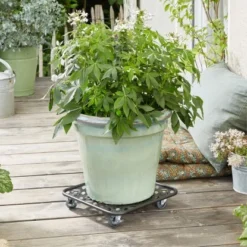 Wagner Pflanzenroller GH 0937 30 Cm X 30 Cm Schwarz -Günstiges Heissner Geschäft 1236389 2470 2