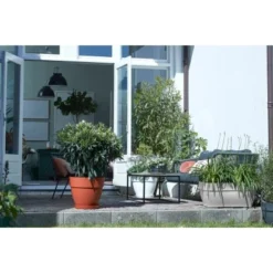 Elho Terrassentopf Vibia Campana Rechteckig 80 Cm X 33 Cm X 35 Cm Living Beton -Günstiges Heissner Geschäft 1239045 4667 4