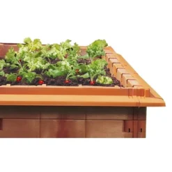 Juwel Schneckenkante Mit Ecken Terracotta