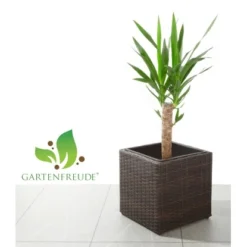 Gartenfreude Pflanzkübel Polyrattan 28 Cm X 28 Cm X 28 Cm Bicolour Braun 5 Gartenfreude Pflanzkübel Polyrattan 28 Cm X 28 Cm X 28 Cm Bicolour Braun -Günstiges Heissner Geschäft 159870 4655 pt01