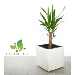 Gartenfreude Pflanzkübel Polyrattan 28 Cm X 28 Cm X 28 Cm Weiß -Günstiges Heissner Geschäft 159887 4655 pt01