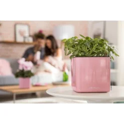 Lechuza Pflanzgefäß Cube Glossy 14 Cm X 14 Cm X 14 Cm Cashmere Cream Highgloss -Günstiges Heissner Geschäft 190238 4186 3