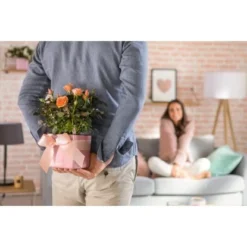 Lechuza Pflanzgefäß Cube Glossy 14 Cm X 14 Cm X 14 Cm Cashmere Cream Highgloss -Günstiges Heissner Geschäft 190238 4186 5