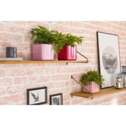 Lechuza Pflanzgefäß Cube Glossy 14 Cm X 14 Cm X 14 Cm Cashmere Cream Highgloss -Günstiges Heissner Geschäft 190238 4186 7