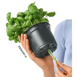 Lechuza Pflanzgefäß 3er-Set Cube Color 14 Grau Mit Kräuterschere -Günstiges Heissner Geschäft 190260 4186 3