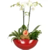 Weihnachtsarrangement Mit Orchidee Topf-Ø Ca. 25 Cm 2 Weihnachtsarrangement Mit Orchidee Topf-Ø Ca. 25 Cm -Günstiges Heissner Geschäft 2182954 4883 1