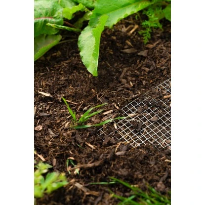 Pergart Drahtgeflecht Draneo Für Hochbeet 4 Pergart Drahtgeflecht Draneo Für Hochbeet – Bild 2
