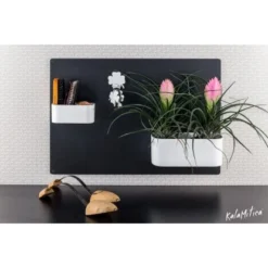 KalaMitica Kunststoffgefäß Mit Magnet Kasten 22 Cm X 12 Cm Polarweiß -Günstiges Heissner Geschäft 258127 4179 4