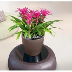 Lechuza Pflanzgefäß Classico Premium LS Ø 22 Cm X 21 Cm Espresso Metallic -Günstiges Heissner Geschäft 261181 4186 4