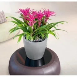 Lechuza Pflanzgefäß Classico Premium LS Ø 22 Cm X 21 Cm Silber Metallic -Günstiges Heissner Geschäft 261310 4186 3