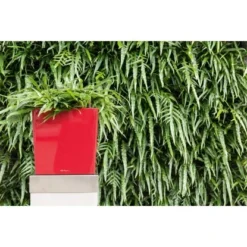 Lechuza Pflanzgefäß Cube Premium 30 Cm X 30 Cm Scarlet Rot Hochglanz -Günstiges Heissner Geschäft 261570 4186 3