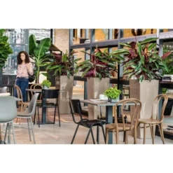 Lechuza Pflanzgefäß Cubico Alto Premium 40 Cm X 40 Cm Taupe Hochglanz -Günstiges Heissner Geschäft 261659 4186 5