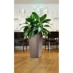 Lechuza Pflanzgefäß Cubico Premium 22 Cm X 22 Cm Espresso Metallic -Günstiges Heissner Geschäft 261694 4186 3