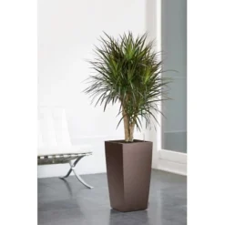 Lechuza Pflanzgefäß Cubico Premium 22 Cm X 22 Cm Espresso Metallic -Günstiges Heissner Geschäft 261694 4186 4