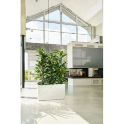 Lechuza Pflanzgefäß Cararo Premium 75 Cm X 30 Cm Weiß Hochglanz -Günstiges Heissner Geschäft 261696 4186 5