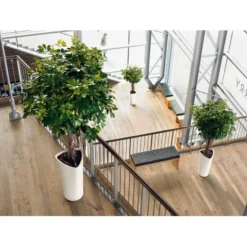 Lechuza Pflanzsäule Delta Premium 40 Cm X 40 Cm X 75 Cm Weiß Hochglanz -Günstiges Heissner Geschäft 261769 4186 7