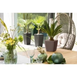 Lechuza Pflanzgefäß Quadro Premium LS 22 Cm X 22 Cm X 21 Cm Espresso Metallic -Günstiges Heissner Geschäft 261785 4186 3