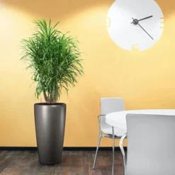 Lechuza Pflanzgefäß Rondo Premium Ø 40 Cm X 75 Cm Anthrazit Metallic -Günstiges Heissner Geschäft 261963 4186 4