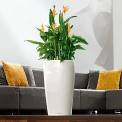 Lechuza Pflanzgefäß Rondo Premium Ø 40 Cm X 75 Cm Weiß Hochglanz -Günstiges Heissner Geschäft 262013 4186 3