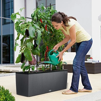 Lechuza Pflanzgefäß Trio Cottage 100 Cm X 32 Cm X 34 Cm Granit 6 Lechuza Pflanzgefäß Trio Cottage 100 Cm X 32 Cm X 34 Cm Granit – Bild 4