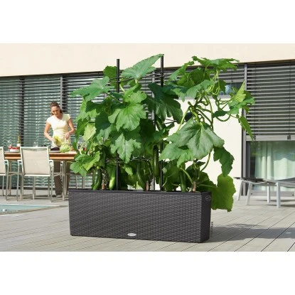 Lechuza Pflanzgefäß Trio Cottage 100 Cm X 32 Cm X 34 Cm Granit 7 Lechuza Pflanzgefäß Trio Cottage 100 Cm X 32 Cm X 34 Cm Granit – Bild 5