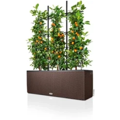 Lechuza Pflanzgefäß Trio Cottage 100 Cm X 32 Cm X 34 Cm Mokka -Günstiges Heissner Geschäft 262240 4186 3