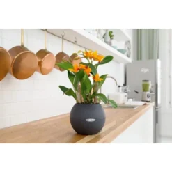 Lechuza Pflanzgefäß Puro Color Ø 20 Cm X 16 Cm Schiefergrau -Günstiges Heissner Geschäft 262752 4186 3