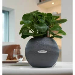 Lechuza Pflanzgefäß Puro Color Ø 20 Cm X 16 Cm Schiefergrau -Günstiges Heissner Geschäft 262752 4186 4