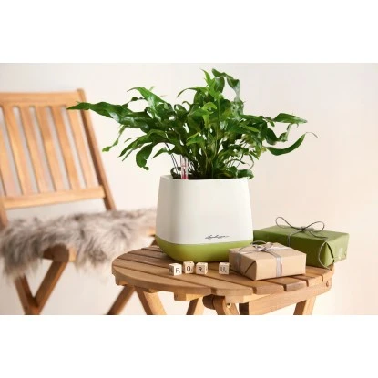 Lechuza Pflanzgefäß Yula 17 Cm X 17 Cm X 15 Cm Weiß-Grün 5 Lechuza Pflanzgefäß Yula 17 Cm X 17 Cm X 15 Cm Weiß-Grün – Bild 3