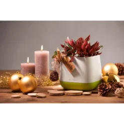 Lechuza Pflanzgefäß Yula 17 Cm X 17 Cm X 15 Cm Weiß-Grün 10 Lechuza Pflanzgefäß Yula 17 Cm X 17 Cm X 15 Cm Weiß-Grün -Günstiges Heissner Geschäft 262803 4186 4