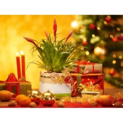 Lechuza Pflanzgefäß Yula 17 Cm X 17 Cm X 15 Cm Weiß-Grün 11 Lechuza Pflanzgefäß Yula 17 Cm X 17 Cm X 15 Cm Weiß-Grün -Günstiges Heissner Geschäft 262803 4186 5