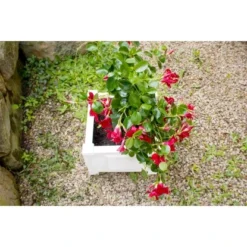 KHW Pflanzkasten Quadratisch Weiß -Günstiges Heissner Geschäft 2749182 4164 8