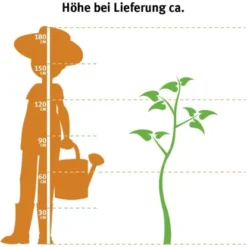 Günstiges Heissner Geschäft -Günstiges Heissner Geschäft 2764231 3358 2